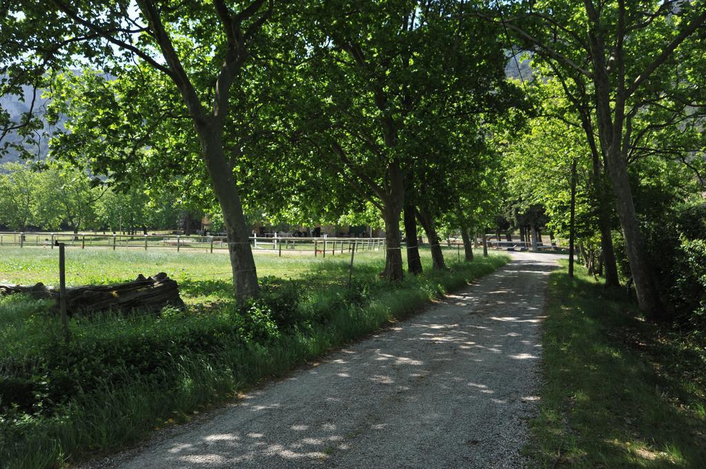Domaine De Castel Fizel Hotell Caudies-de-Fenouilledes Exteriör bild